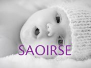 Bonfire and Ardmore Team Up on Irish-Language Campaign for Beacon CARE Fertility
