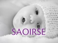 Bonfire and Ardmore Team Up on Irish-Language Campaign for Beacon CARE Fertility