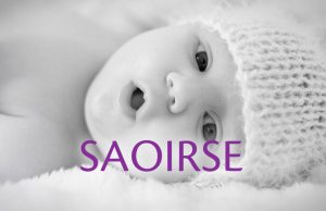 Bonfire and Ardmore Team Up on Irish-Language Campaign for Beacon CARE Fertility