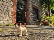 The Public House Wins NSPCA Fundraising Account