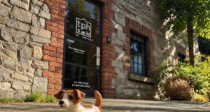 The Public House Wins NSPCA Fundraising Account