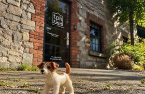 The Public House Wins NSPCA Fundraising Account